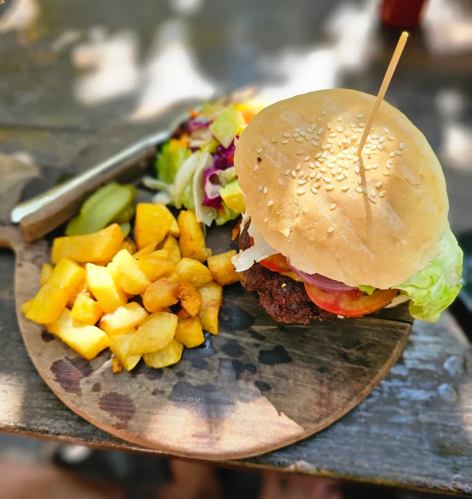 beef cheese burger with fries and salad